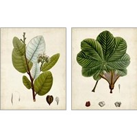 Framed 'Verdant Foliage 2 Piece Art Print Set' border=