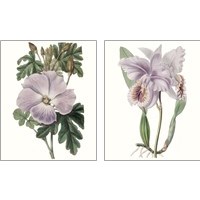 Framed 'Lavender Beauties 2 Piece Art Print Set' border=