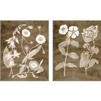 Framed 'Botanical in Taupe 2 Piece Art Print Set' border=