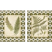 Framed 'Moroccan Ferns  2 Piece Art Print Set' border=