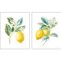 Framed 'Floursack Lemon on White 2 Piece Art Print Set' border=