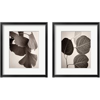 Framed 'Eucalyptus Sepia 2 Piece Framed Art Print Set' border=
