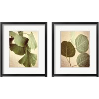 Framed Eucalyptus Color 2 Piece Framed Art Print Set