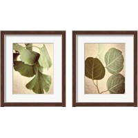 Framed 'Eucalyptus Color 2 Piece Framed Art Print Set' border=