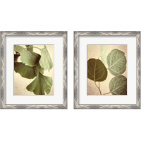 Framed 'Eucalyptus Color 2 Piece Framed Art Print Set' border=