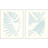Framed 'Serene Ferns 2 Piece Art Print Set' border=