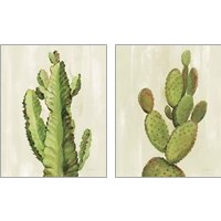 Framed 'Front Yard Succulent 2 Piece Art Print Set' border=