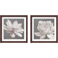 Framed 'Vintage Lotus on Grey 2 Piece Framed Art Print Set' border=