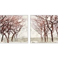 Framed 'Rusty Trees 2 Piece Art Print Set' border=