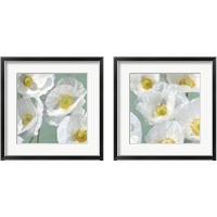 Framed 'Poppies on Mint 2 Piece Framed Art Print Set' border=