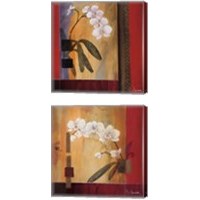 Framed 'Orchid Lines 2 Piece Canvas Print Set' border=