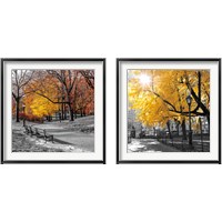 Framed 'Park Pretty 2 Piece Framed Art Print Set' border=