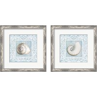 Framed 'Sandy Shells Blue 2 Piece Framed Art Print Set' border=