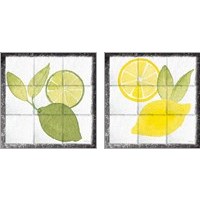 Framed 'Citrus Tile Black Border 2 Piece Art Print Set' border=