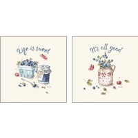 Framed 'Summer Garden  2 Piece Art Print Set' border=