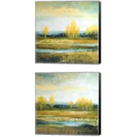 Framed 'Marsh Lands 2 Piece Canvas Print Set' border=