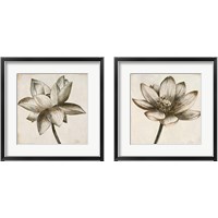 Framed 'Sepia Lotus 2 Piece Framed Art Print Set' border=