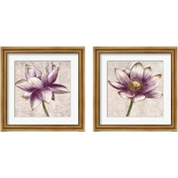 Framed 'Defined Lotus 2 Piece Framed Art Print Set' border=