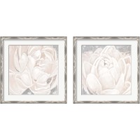 Framed 'White Grey Flower  2 Piece Framed Art Print Set' border=