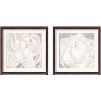 Framed 'White Grey Flower  2 Piece Framed Art Print Set' border=