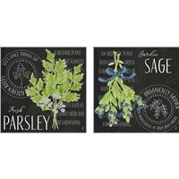Framed 'Garden Grown Herbs 2 Piece Art Print Set' border=
