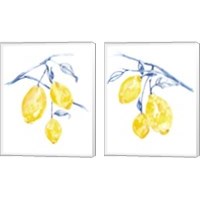 Framed 'Watercolor Lemons 2 Piece Canvas Print Set' border=