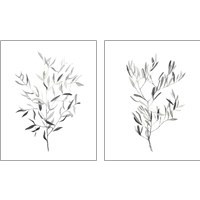 Framed 'Paynes Grey Botanicals 2 Piece Art Print Set' border=