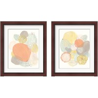 Framed 'Abstract Succulents 2 Piece Framed Art Print Set' border=