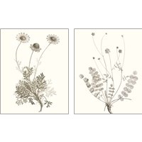 Framed 'Neutral Botanical Study 2 Piece Art Print Set' border=