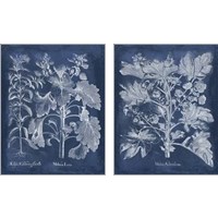 Framed 'Besler Leaves in Indigo 2 Piece Art Print Set' border=