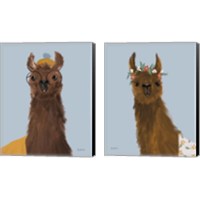 Framed 'Delightful Alpacas 2 Piece Canvas Print Set' border=