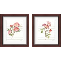 Framed 'Sprigs of Summer 2 Piece Framed Art Print Set' border=