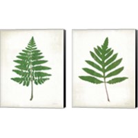 Framed 'Chalkboard Fern Green 2 Piece Canvas Print Set' border=