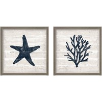 Framed 'Driftwood Coast Blue 2 Piece Framed Art Print Set' border=