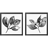 Framed 'Feuille  2 Piece Framed Art Print Set' border=