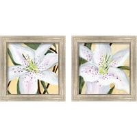 Framed 'White Lily 2 Piece Framed Art Print Set' border=