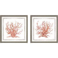 Framed 'Pink Coastal Coral  2 Piece Framed Art Print Set' border=