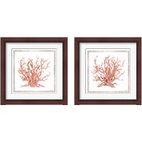 Framed 'Pink Coastal Coral  2 Piece Framed Art Print Set' border=