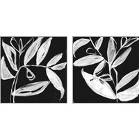 Framed 'Quirky White Leaves 2 Piece Art Print Set' border=