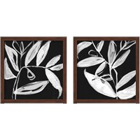 Framed 'Quirky White Leaves 2 Piece Framed Art Print Set' border=