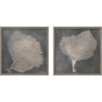 Framed 'Natural Sea Fan 2 Piece Framed Art Print Set' border=