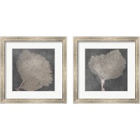 Framed 'Natural Sea Fan 2 Piece Framed Art Print Set' border=