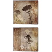 Framed 'Floral  2 Piece Canvas Print Set' border=