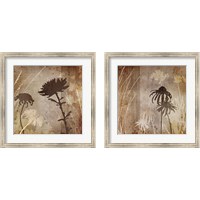 Framed 'Floral  2 Piece Framed Art Print Set' border=