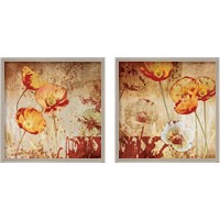 Framed 'Poppy Heat 2 Piece Framed Art Print Set' border=