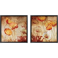 Framed 'Poppy Heat 2 Piece Framed Art Print Set' border=