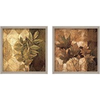 Framed 'Leaf Patterns 2 Piece Framed Art Print Set' border=