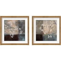 Framed 'Abstract & Natural Elements 2 Piece Framed Art Print Set' border=