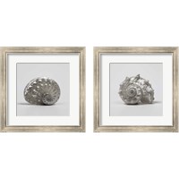 Framed 'Beachside Treasure 2 Piece Framed Art Print Set' border=