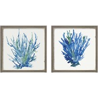 Framed 'Blue and Green Coral  2 Piece Framed Art Print Set' border=